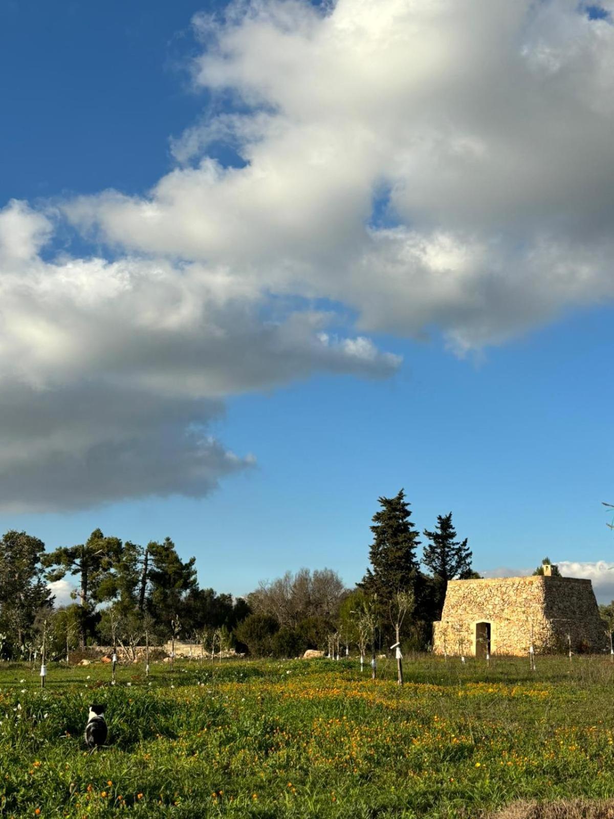 Апарт отель Badia San Michele Pajara Aida Тулье Экстерьер фото